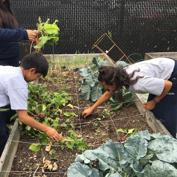 Kids gardening at Anita's garden